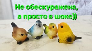 #влог Меньше,чем конфетки!🐦 Шок от дырявых томатов))🐛