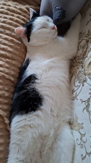 Крепко спим😴😴😴