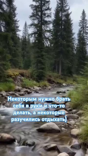 Ситуация)