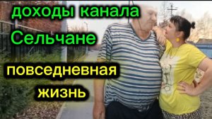 Доход канала Сельчане Повседневная жизнь Обзор