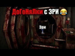 дОгОнЯЛки С ЭЙРИ