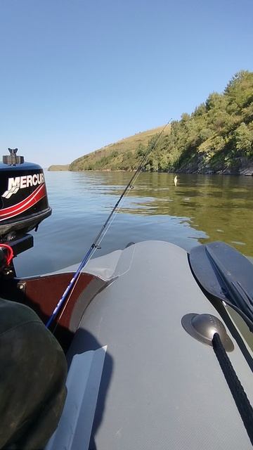 Август