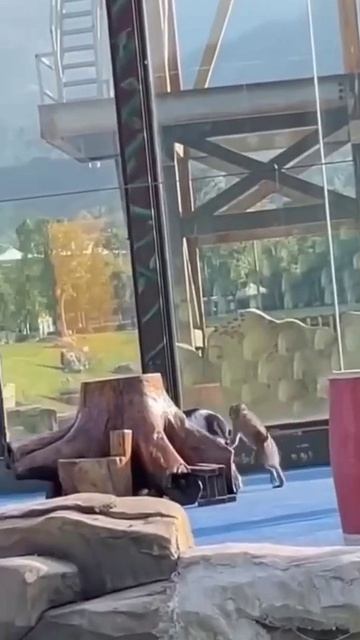 Вопросов больше, чем ответов