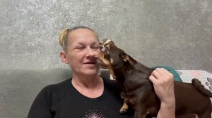 Насмотрелась «Четыре дачи» столько идей появилось.