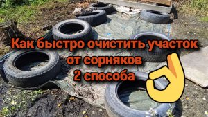 Как быстро очистить участок от сорняков. 2 способа.