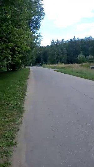 ☆Теплый привет друзья)Гуляю с любимым питомцем Зевсом)