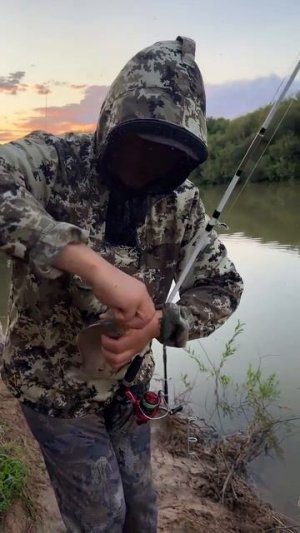 💪 Бешенная поклёвка карася 🐟