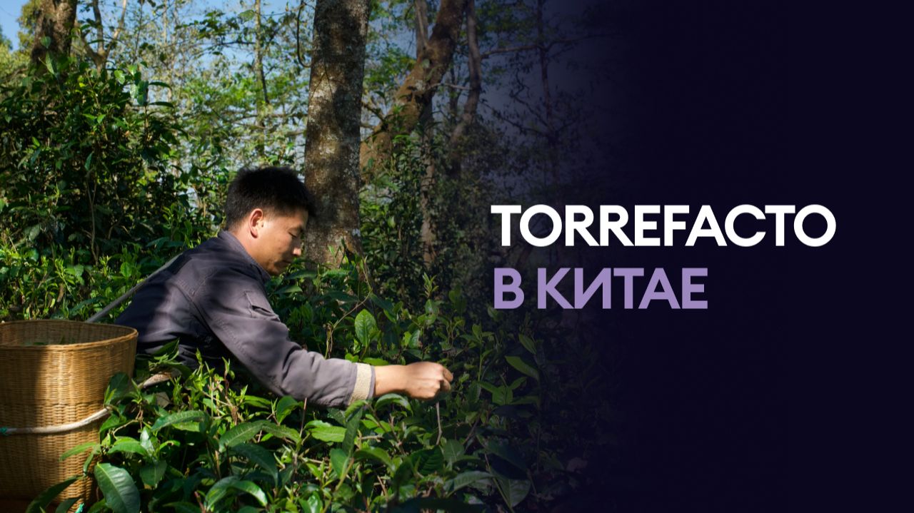 TORREFACTO В КИТАЕ