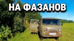 На фазанов!
