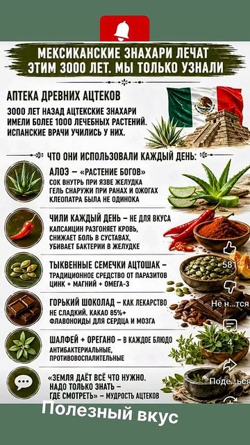 🌿✨ Природные продукты, которые ценят в традиционной кухне и фитотерапии #вред #рецепты #здоровыйдух