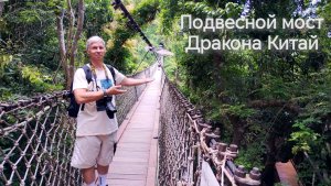 Подвесной мост Дракона в тропическом парке Ялуньвань в горах город Санья остров Хайнань Китай