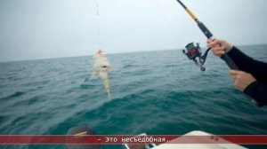 12.08.2026 Сахалинские блоги. ЗАПИСКИ САМОЗАНЯТОГО. Ловим камбалу