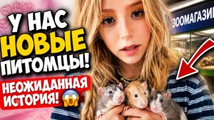 🐹 ЦЕЛАЯ ОПЕРАЦИЯ! ЕДЕМ ЗА НОВЫМИ ПИТОМЦАМИ!