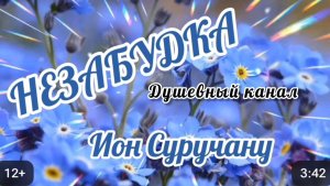 ЭТА ПЕСНЯ ПРОСТО ПРЕЛЕСТЬ. НЕЗАБУДКА. ИОН СУРУЧАНУ