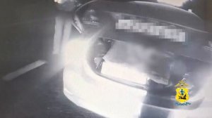 Архангельские полицейские задержали криминальный дуэт, промышлявший кражами товаров из магазинов