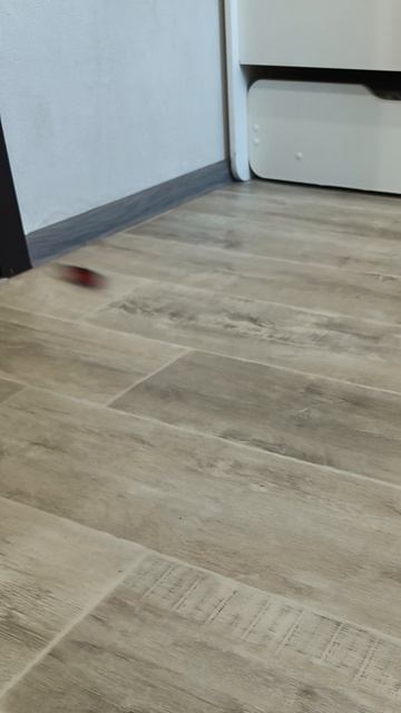 Гонки