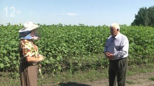 На пасеке у Александра Арбузова