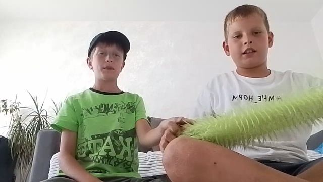 обзор 5 вещей