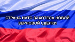 |Н. РФ| Страна НАТО захотела новой зерновой сделки