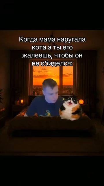 Котость
