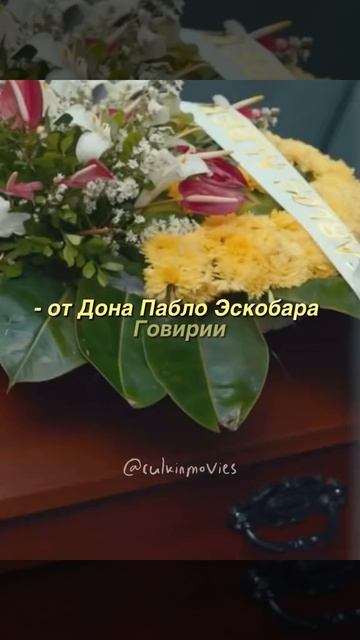 🎬Эскобар