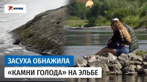 «Камни голода» показались на Эльбе из-за долгой засухи