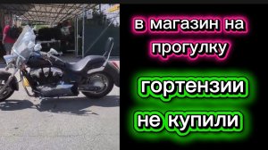 В магазине много скидок Гортензии не рискнула купить