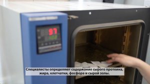 Коллектив года - Конышевка