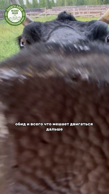  12 августа  день солнечного затмения