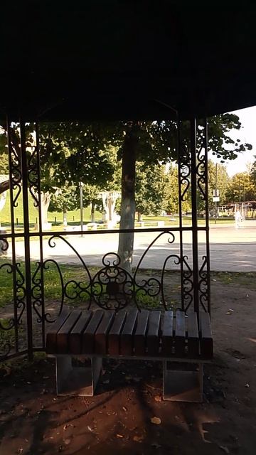 VID_20260811_092541Утро в парке