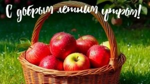 С добрым летним утром. Красивая музыкальная открытка.