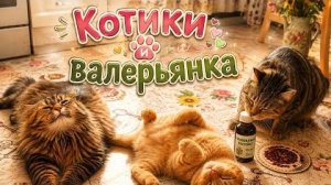 11.08.26. В городе сильные обстрелы!!! Сидела под столом.