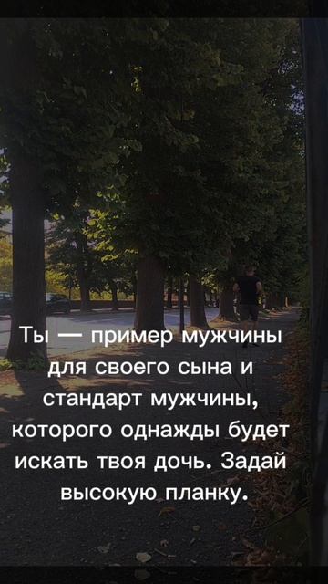 🐺🐺🐺