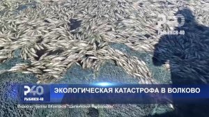 (Рыбинск-40) ЭКОЛОГИЧЕСКАЯ КАТАСТРОФА В ВОЛКОВО