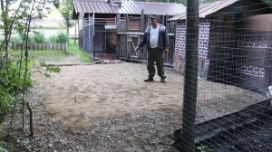 Строю Бетонный Курятник! Подушка под Плиту Готова!