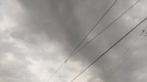11 августа магический пасмурный пока не дождливый прогноз но дождь ночью до утра.. все ещё  впереди