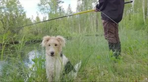 Hance2601 Лето в Финляндии 🇫🇮 | Праздник летнего солнцестояния, рыбалка в лесу и уютная сауна