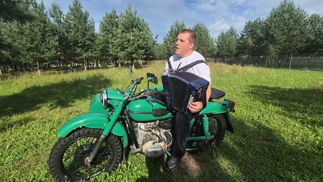 Сектор Газа- Туман (под гармонь)