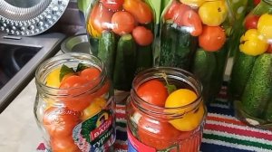 НОВЫЕ РАСТИШКИ🌱  ЗАКРУТИЛА  АССОРТИ🥒🍅