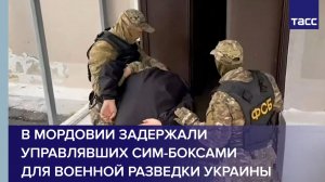 ФСБ задержала в Мордовии россиян, управлявших сим-боксами для украинской военной разведки
