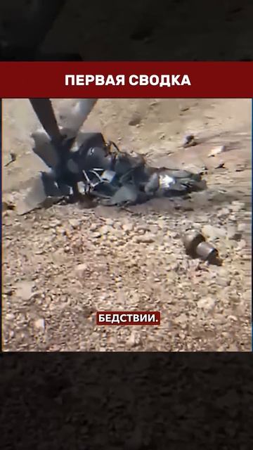КРУШЕНИЕ В ДЖИБУТИ꞉ почему американский дрон MQ-9 упал в Джибути и при чём здесь авиабаза Чабли →