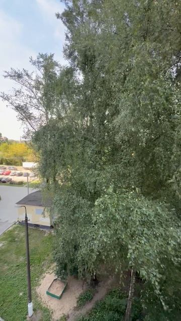 Под порывами ветра: обычный день на улице из окна балкона
