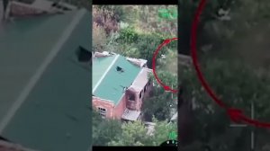 В память о Крошке Ди (Диане) Светлая память