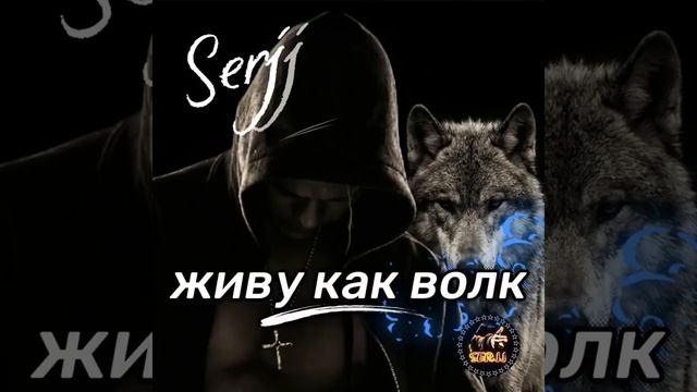 Живу как волк