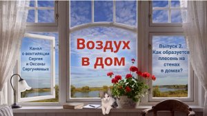 Как образуется плесень на стенах в домах?