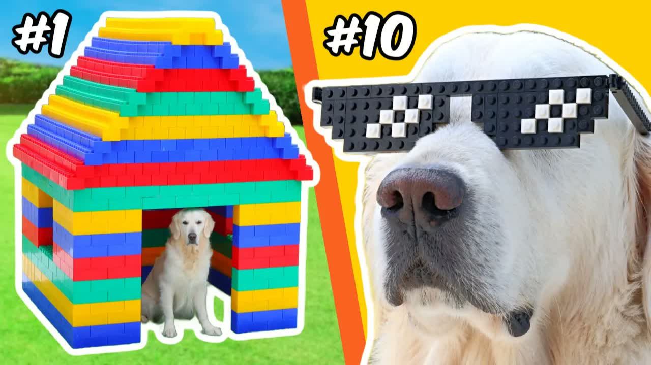 LEGO-постройки для СОБАКИ...