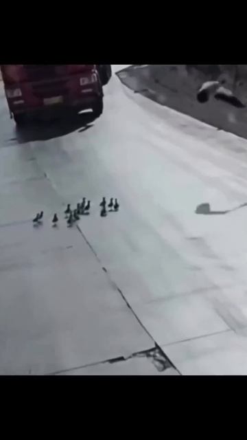 Мать года