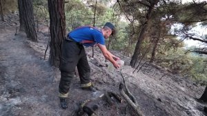 Кадры тушения пожара в районе урочища Инжир в Севастополе