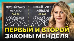 1, 2 законы Менделя | Летняя школа по биологии | ЕГЭ 2027 | Ксения Напольская