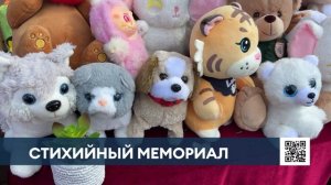 Нижнекамцы несут игрушки к мемориалу по погибшим при атаке дронов